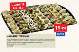 Gel 2000 48 canapés constance offre
