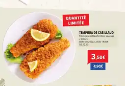Gel 2000 Tempura de cabillaud offre