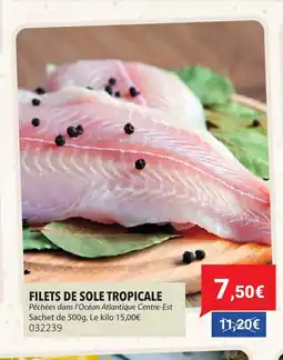 Gel 2000 Filets de sole tropicale offre