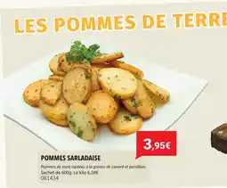 Gel 2000 Pommes sarladaise offre