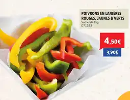 Gel 2000 Poivrons en lanières rouges, jaunes & verts offre