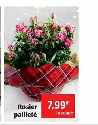 Colruyt Rosier Pailleté offre