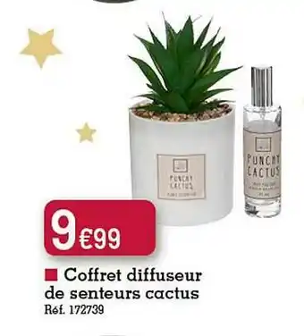 Kandy Coffret Diffuseur De Senteurs Cactus offre