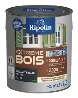 Brico Dépôt Peinture bois 2,5 l offre