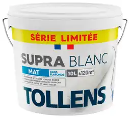 Brico Dépôt Supra blanc 10l mat offre
