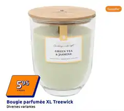 Action Bougie parfumée XL Treewick offre