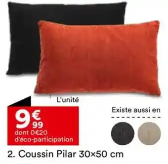 BUT Coussin Pilar offre