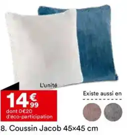 BUT Coussin Jacob offre