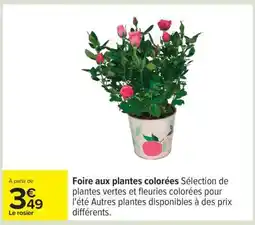 Carrefour Le rosier offre