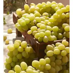 Carrefour Raisin blanc offre