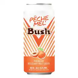 Carrefour Market BUSH Bière offre