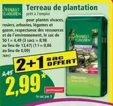 Norma Plantation - terreau de offre