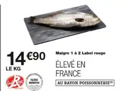 Monop' Maigre 1 à 2 label rouge offre
