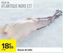 Carrefour Drive Queue de lotte offre
