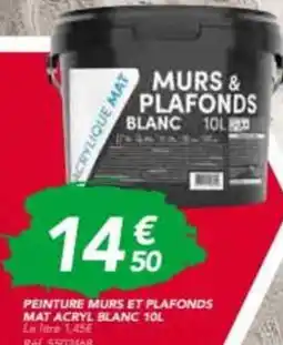 Les Briconautes Peinture murs et plafonds mat acryl blanc offre