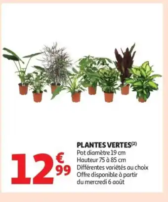 Auchan Supermarché Plantes vertes offre
