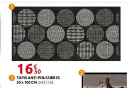 Rural Master Tapis anti-poussières offre