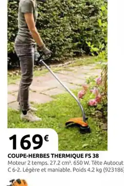Rural Master Coupe-herbes thermique fs 38 offre