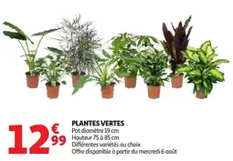 Auchan Plantes vertes offre