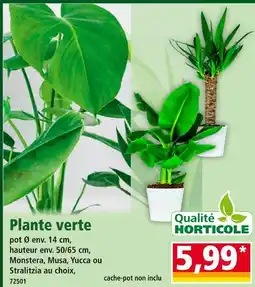 Norma Qualité Horticole Plante verte offre