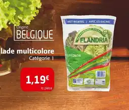Colruyt FLANDRIA Salade multicolore offre