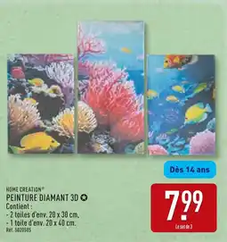 ALDI HOME CREATION PEINTURE DIAMANT 3D offre
