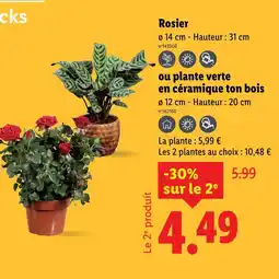Lidl Rosier offre