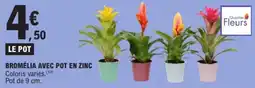 E.Leclerc Bromélia avec pot en zinc offre