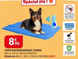 Rural Master Tapis rafraîchissant chiens offre