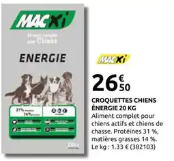 Rural Master MACXI Croquettes chiens énergie offre