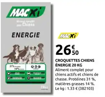 Rural Master MACXI Croquettes chiens énergie offre