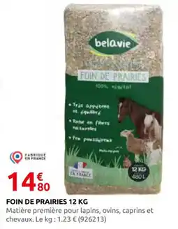 Rural Master BELAVIE Foin de prairies offre