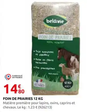 Rural Master BELAVIE Foin de prairies offre