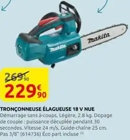 Rural Master Tronçonneuse élagueuse 18 v nue offre