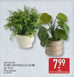 ALDI PLANTE ARTIFICIELLE À LED offre