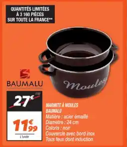 Netto BAUMALU Marmite à moules offre