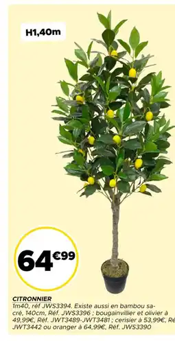 Gifi Citronnier offre