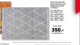 Möbel Martin Tapis tissé Scandi polypropylène offre