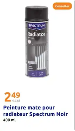 Action SPECTRUM Peinture mate pour radiateur Noir offre