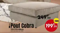 Maxi Bazar Pouf Cobra offre