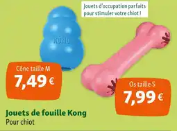 Maxi Zoo Kong Jouets de fouille offre