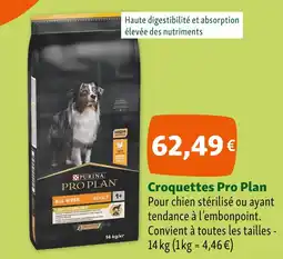 Maxi Zoo Pro Plan Croquettes offre