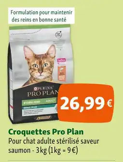 Maxi Zoo Pro Plan Croquettes offre