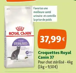 Maxi Zoo Royal Canin Croquettes 37 offre