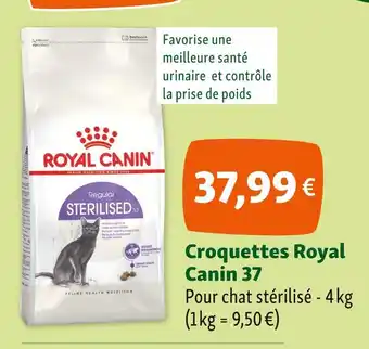 Maxi Zoo Royal Canin Croquettes 37 offre