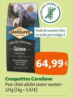 Maxi Zoo Carnilove Croquettes offre