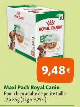 Maxi Zoo Royal Canin Maxi Pack offre