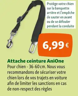 Maxi Zoo AniOne Attache ceinture offre