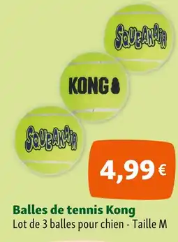 Maxi Zoo Kong Balles de tennis offre