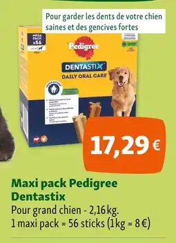Maxi Zoo Pedigree Maxi pack Dentastix offre